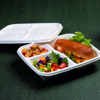 Barquette alimentaire jetable en pulpe de canne à sucre carrée blanche, écologique et biodégradable, avec couvercle, pour servir à emporter, hôtels