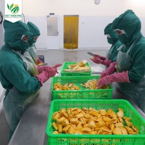 VIET THIEN PHU VTP/IQF Orgánica Congelada Jaca Semillas Delicioso Sabor Durian Banana Agua Conservada Fruta Cartón Vietnam - Product Image 3