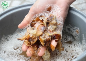 Savon naturel à base de plantes séchées, savon aux noix, ingrédient de saponine pour shampooing, soins de la peau et soins personnels, pour utilisation comme détergent de cuisine - Product Image 6