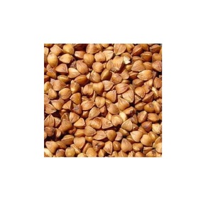เปลือกเมล็ดบัควีท/บัควีท/เมล็ดบัควีท - Product Image 5