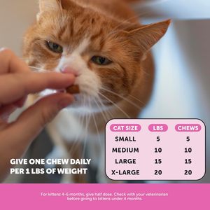 Fromage à mâcher multi-vitamines, croquant et crémeux pour chat-Soutient l'énergie, la peau et le pelage - Product Image 4