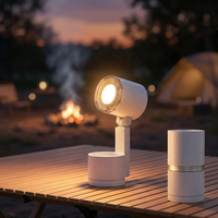 Ventilateur de camping à longue autonomie 12000 mAh avec lumière LED, rechargeable par USB, pliable et portable, avec télécommande pour l'extérieur et la randonnée