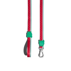Lola Laisse et Harnais de Luxe pour Chien, Corde Durable avec Confort Rembourré, Personnalisation Possible, Imprimé Uni, Style Western Classique, Carto - Product Image 1
