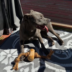 Café et Coco Chew - Où la Nature rencontre la Durabilité - Product Image 5