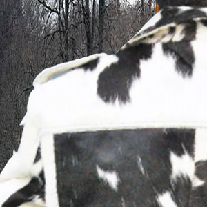 Chaqueta Bomber de Cuero PU para Hombre, Corte Ajustado, Cuello Alto, Cuero de Pescado Genuino, Logotipo Frontal Premium, Impermeable y Transpirable - Product Image 3