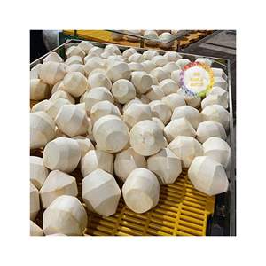 Forma de corte de diamante de coco joven de Vietnam pelado fácil de abrir bebida tropical fresca para exportación suministro al por mayor y al por menor - Product Image 5