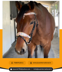 Accessoires de cheval de bride d'essorage de bonne qualité à bon prix pliable - Product Image 2