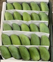 Premium biologische natuurlijke zoete verse mango AA-kwaliteit beste kwaliteit en prijs uit Vietnam