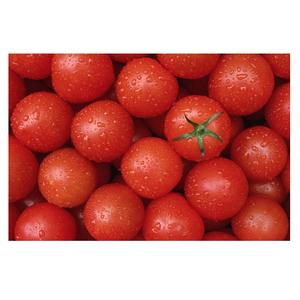 Tomates Frescos Orgánicos de Cereza y Ciruela, Paquete de 20 kg a Precio Económico de Mercado - Product Image 4