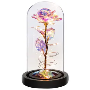 Wholesale Rose Artificial Flower With Led Light Gifts Multi Color Light Up Eternal Rose in A Glass Dome Women Gifts