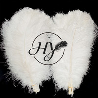 Plumes d'autruche blanches volumineuses de 60 à 65 cm pour événements, fêtes, centres de table de mariage, décorations de carnaval