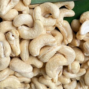 Fabricación de frutos de anacardo W210 anacardos crudos orgánicos Santigo Viet Nam al por mayor exportados a la UE, Oriente Medio - Product Image 1