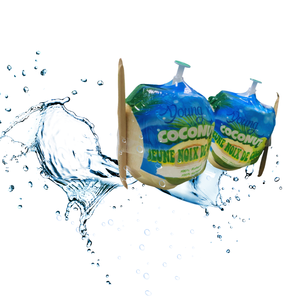 Produit de l'agriculture vietnamienne à la noix de coco fraîche avec une touche de nature - Product Image 4