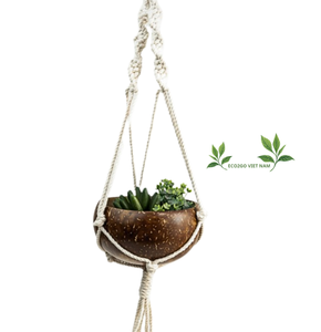 Handicraft Natural Sustainable Coconut Shell Planter Pot High Quality with <b>Cheap</b> Price for Decorative Garden, Bonsai From Eco2go - Product Image 1