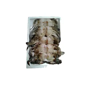 Weight price supplier IQF package origin seafood Frozen Cooked Claw Swimming Crab Wild Caught