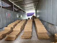 Kokosnuss matte Guter Preis Bestseller Umwelt freundliche Produkte Kokos matte Hochwertiger Palm matten hersteller in Vietnam