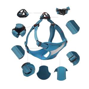 Correa y Arnés Ajustables para Perros Pequeños y Grandes de un Proveedor Vietnamita - Product Image 5