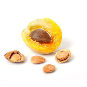 <b>Apricot</b> <b>Kernels</b> | Organically Processed for Eco-Conscious Buyers - Product Image 6