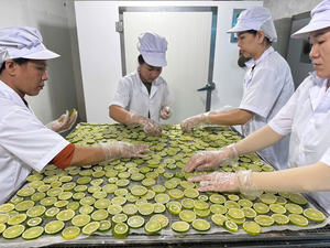 Citron vert séché en tranches, ingrédient en vrac du Vietnam pour les distributeurs alimentaires et les fabricants de boissons mondiaux - Product Image 5