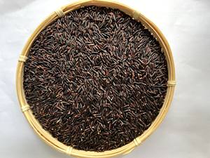 Riz noir à grains longs de qualité supérieure du Vietnam pour l'exportation, au goût riche et à une valeur nutritionnelle élevée - Product Image 4