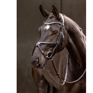 Brida de cuero para caballo, brida de cuero para caballo, diseño personalizado - Product Image 1