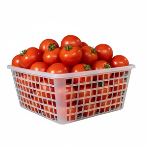 DX601 Durable and Practical <b>Food</b> Grade Mini <b>Tomato</b> Basket for Hamburger & Bread - Product Image 3