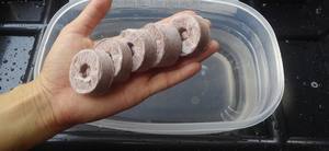 El Coco Jiffy de Vietnam libera el potencial del pellet de turba de Coco para una plantación sin esfuerzo y un éxito agrícola sostenible - Product Image 6