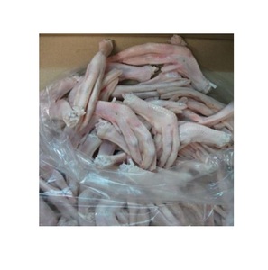 Pieds de canard surgelés de qualité supérieure, idéaux pour les restaurants et les fournisseurs en gros de produits alimentaires - Product Image 4