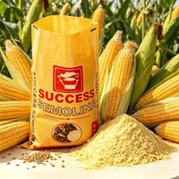 Sacs en polypropylène tissés sur mesure pour l'emballage de la farine de riz, du maïs, des céréales, des aliments pour animaux