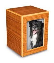 Venta caliente estilo americano moderno Pet Memorial urnas calidad gato y perro cenizas recuerdo urnas con marco de fotos - Product Image 4