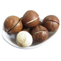 Орехи макадамии по лучшим ценам