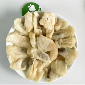 SOURSOP SÉCHÉ/100% DE FRUITS FRAIS au VIETNAM/Fruits secs tropicaux et MEILLEUR PRODUIT à ESSAYER!!! - Product Image 1