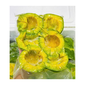 Aguacate congelado en paquetes a granel o al por menor, embalaje personalizado, OEM/soporte de Etiqueta Privada, MOQ flexible para compradores - Product Image 2
