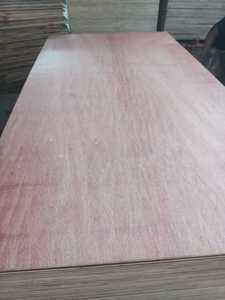 MR Glue, tableros de chapa de madera contrachapada comercial de 12/18mm, superficie de melamina de abedul de álamo y pino para decoración E2 - Product Image 5