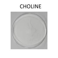 Poudre de Choline Herbacée en Gros Fournie par l'Usine Bon Prix Alpha GPC Choline L-alpha-Glycérophosphoryl Choline 99% Poudre
