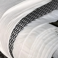 Filet de drainage géocomposite fabriqué au Shandong, maille composite 3D pour le drainage des décharges, des routes, des voies ferrées et des pentes