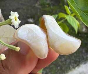 Anillo de Cuerno de Búfalo Vintage de Alta Calidad de F S INTERNATIONAL para Compromiso o Regalo de Boda a Precio de Mayoreo desde India - Product Image 5