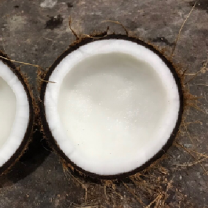 Noix de coco séchée semi-décortiquée du Vietnam Ben Tre Agriculture Juicy Sweet Water 100% Natural Thick Meat Hot Selling Nutrition. - Product Image 4