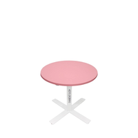 Table de toilettage pour chiens HEDYS GROOMING, réglable en hauteur, surface lisse antidérapante, acier et contreplaqué, 28,45 kg, 220 V KR