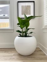 Haute qualité grand FRP fibre de verre Pot de fleur en verre planteur Design classique pour la maison en plein air jardin pépinière produit artificiel