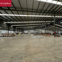 Services complets d'audit d'usine et d'inspection de contrôle qualité certifiés INSPLUS au Vietnam (Modèle INS13)