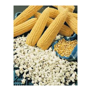 ข้าวโพดหวานเมล็ดข้าวโพดสีเหลืองสำหรับอาหารสัตว์ - Product Image 3