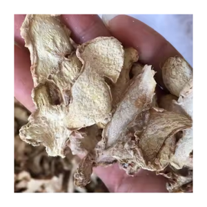 Jengibre en rodajas a buen precio, buenas hierbas individuales listas para exportar desde Vietnam - Product Image 6