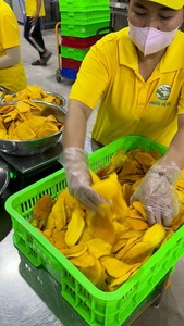 Mangue séchée en grand sac ingrédient en mixologie mangue à faible teneur en sucre origine Vietnam - Product Image 6