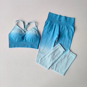 Femmes taille haute Fitness costume nouveau dégradé ensemble de gymnastique beauté dos soutien-gorge pêche hanche Leggings solide motif avant Logo-2Piece Yoga ensemble - Product Image 6