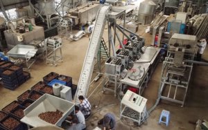 Machines innovantes de classement de noix de cajou de précision et de cohérence pour un contrôle de qualité supérieur - Product Image 3