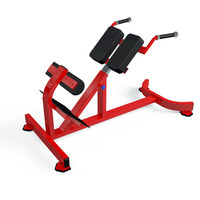 Chaise romaine de musculation de Machine d'extension de dos réglable de haute qualité