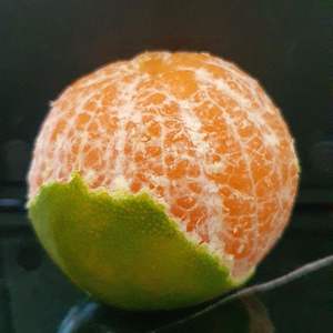 Naranjas Navel Frescas de Primera Calidad, Alto Grado Premium, Alto Contenido de Brix 12%+, Alto Contenido de Jugo, Certificadas para Exportación - Product Image 3