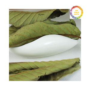 Hojas de guayaba secas de alta calidad Distribuidor de venta de bajo costo - Product Image 2
