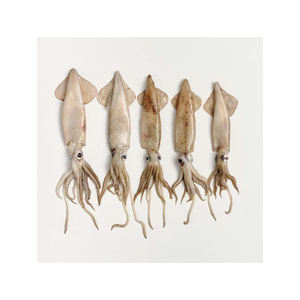 คุณภาพสูงสีสันสดใสน้ําเค็มจิ๊กปลาหมึกขนาด 3.0 3.5 # แนวตั้ง Jigging Lure กุ้งล่อ - Product Image 3